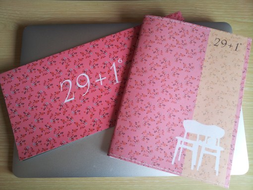 我的《29+1》二次方