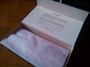 由巴黎空運到港的 Repetto！