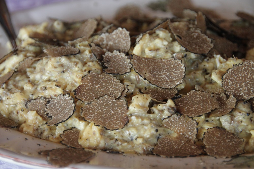 黑松露炒蛋，蛋炒黑松露？！