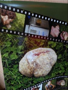 Ivan 當年找到的大大塊白松露