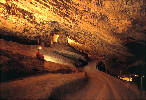 Škocjan Caves