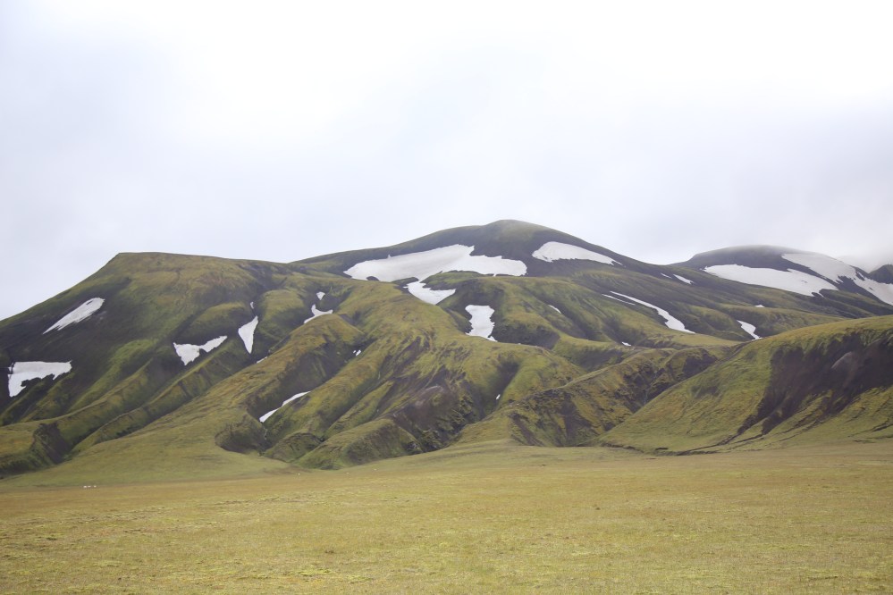 這是照片？還是油畫？
