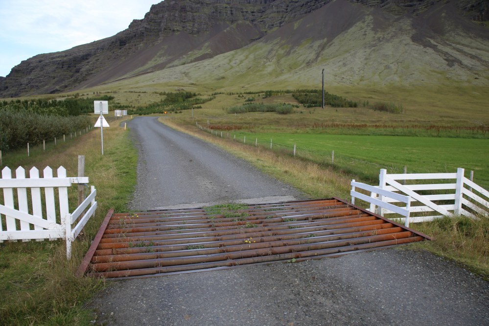 Sheep gate