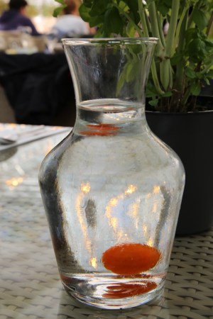 放在水瓶裡的都是番茄